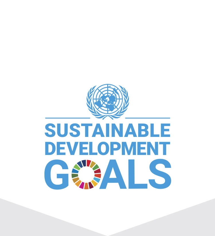 持続可能な開発目標(SDGs)の普及・啓発